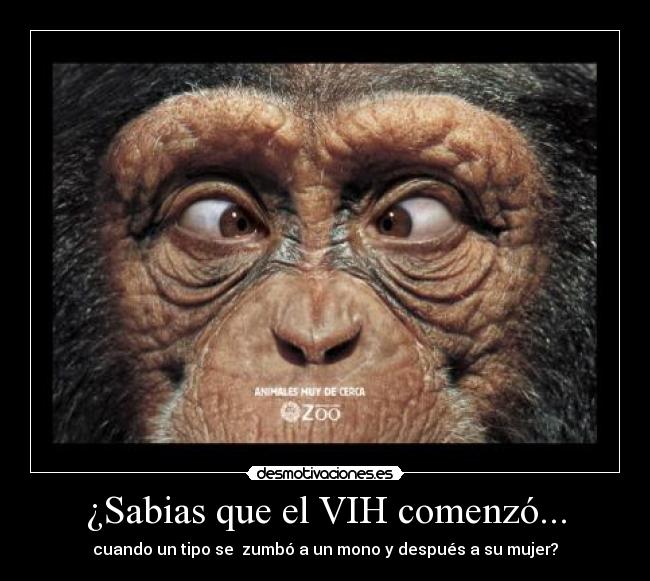 ¿Sabias que el VIH comenzó... - cuando un tipo se zumbó a un mono y después a su mujer?