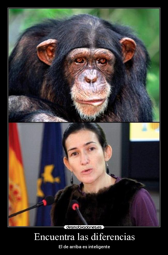 Encuentra las diferencias -