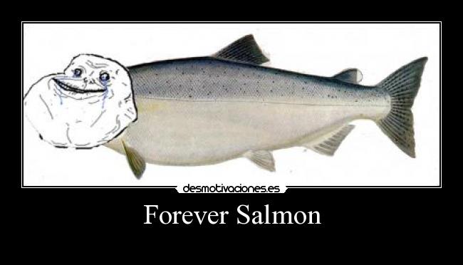 Forever Salmon - 