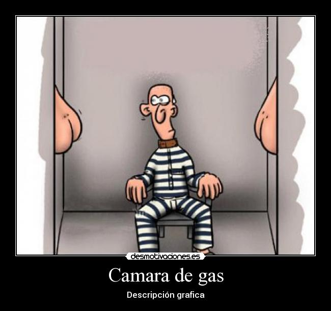 Camara de gas - Descripción grafica