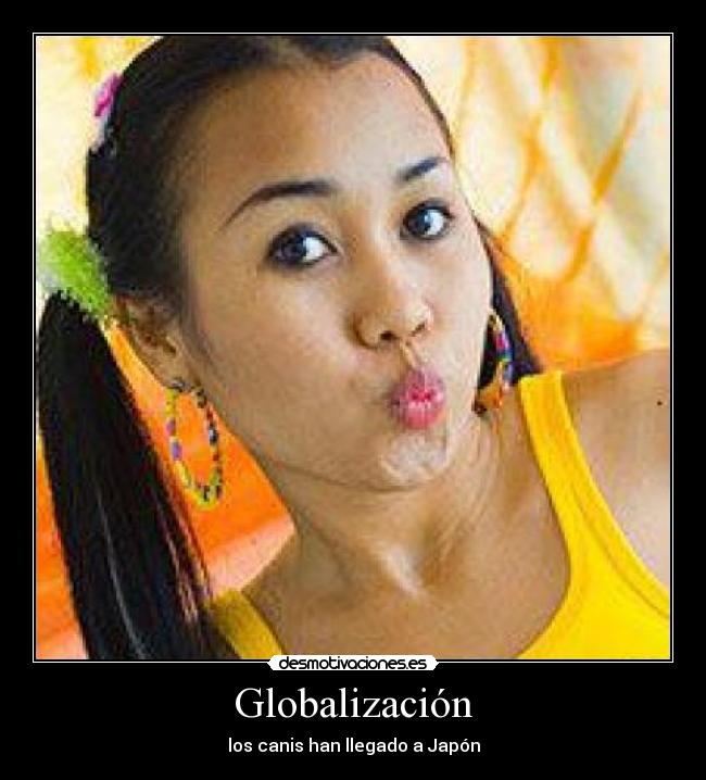 carteles canis desmotivaciones