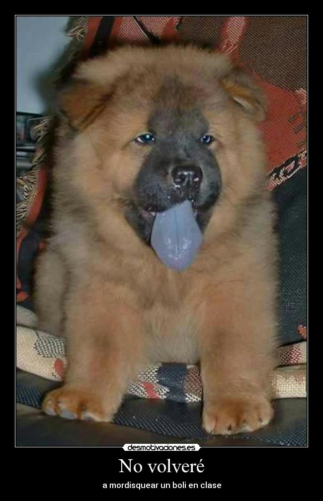 No volveré - a mordisquear un boli en clase