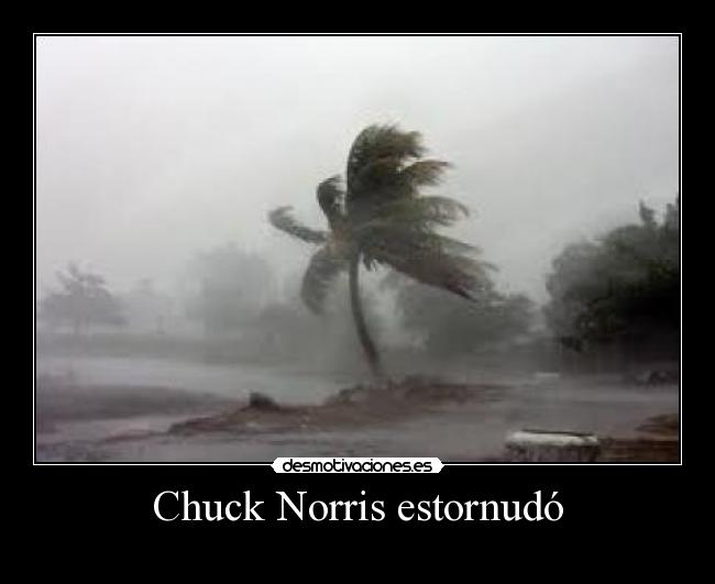 Chuck Norris estornudó -