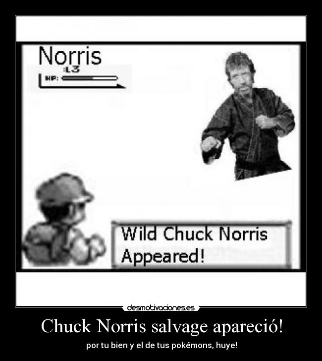 Chuck Norris salvage apareció! - por tu bien y el de tus pokémons, huye!