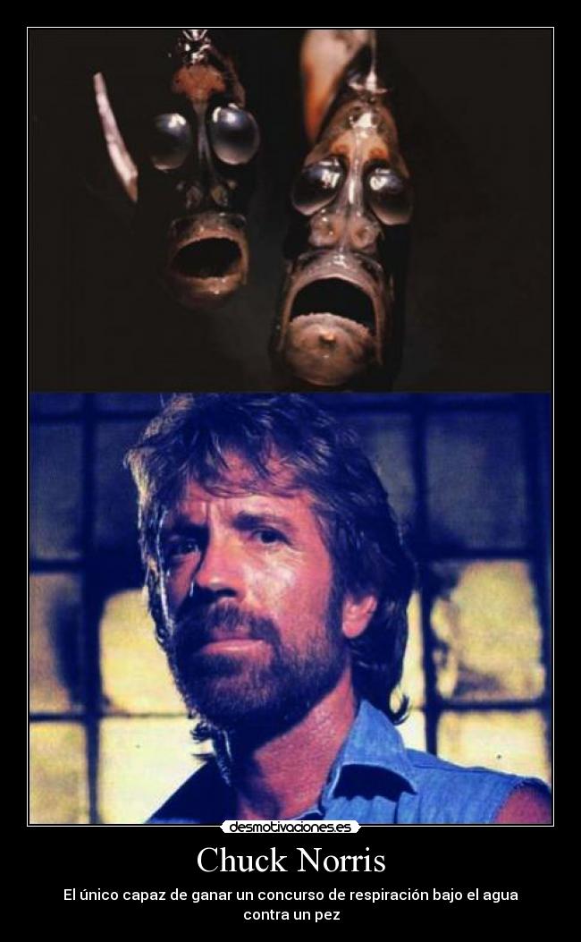 Chuck Norris -