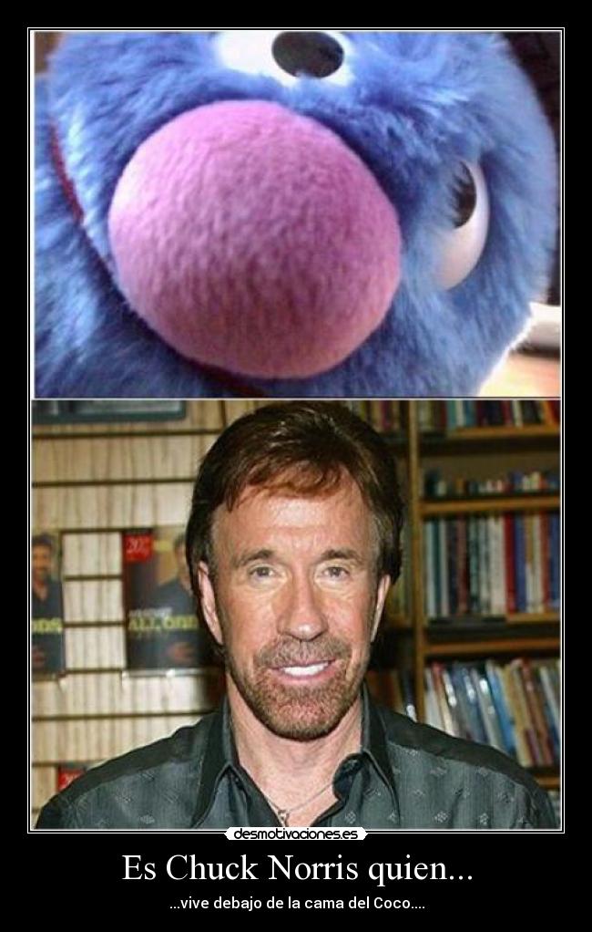 Es Chuck Norris quien... - 
