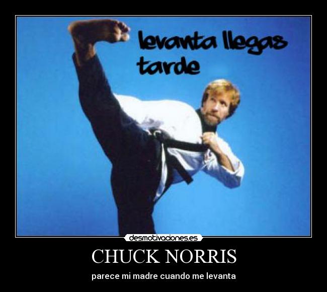CHUCK NORRIS - parece mi madre cuando me levanta