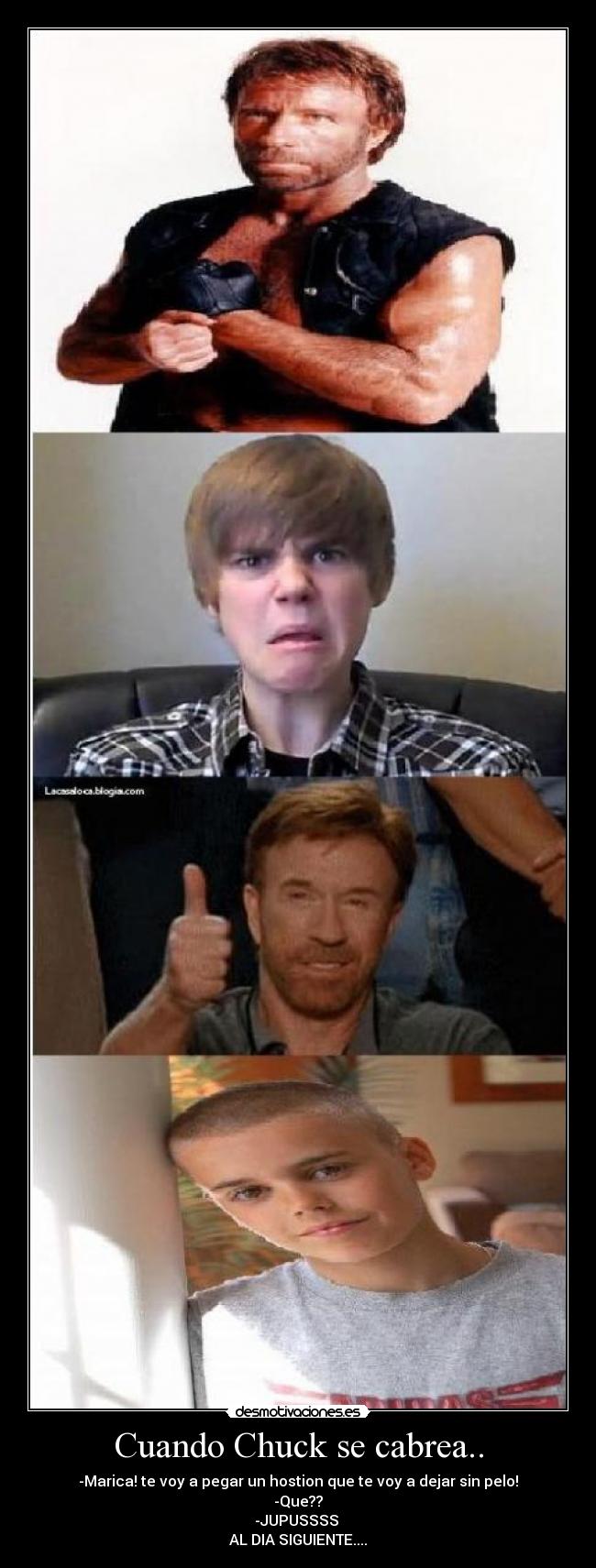Cuando Chuck se cabrea.. - -Marica! te voy a pegar un hostion que te voy a dejar sin pelo!
-Que??
-JUPUSSSS
AL DIA SIGUIENTE....