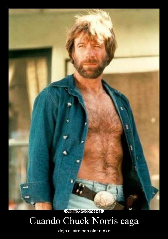 carteles chuck norris desmotivaciones