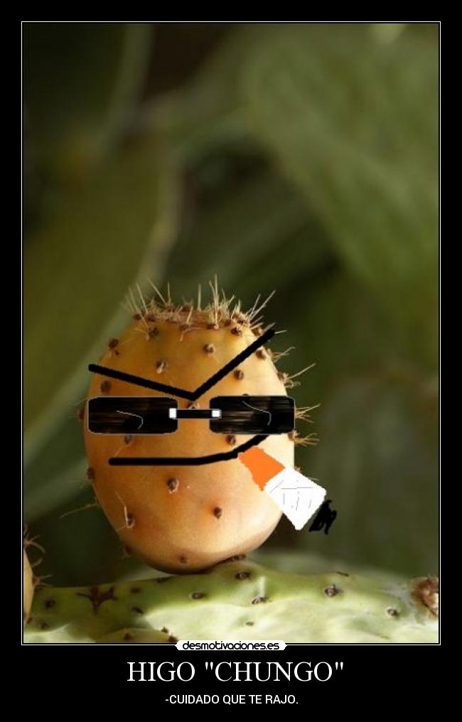  HIGO CHUNGO - 
