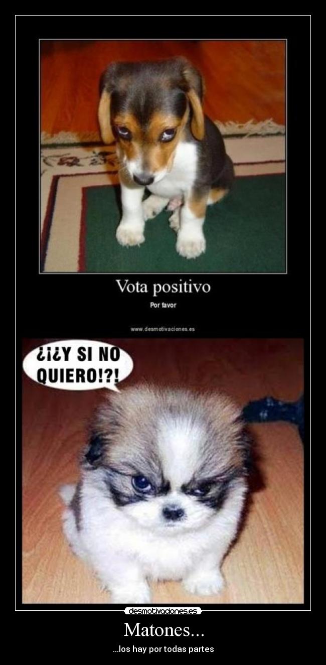 Matones... - ...los hay por todas partes