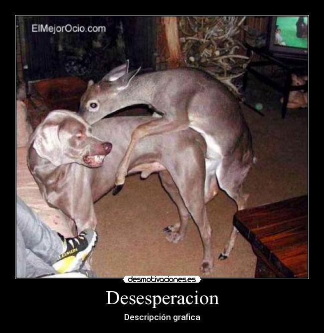 Desesperacion - Descripción grafica