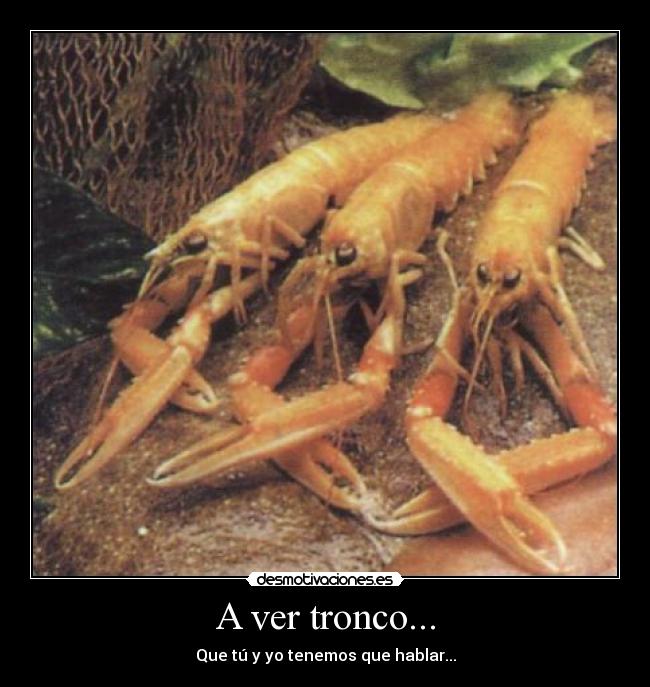 A ver tronco... - Que tú y yo tenemos que hablar...