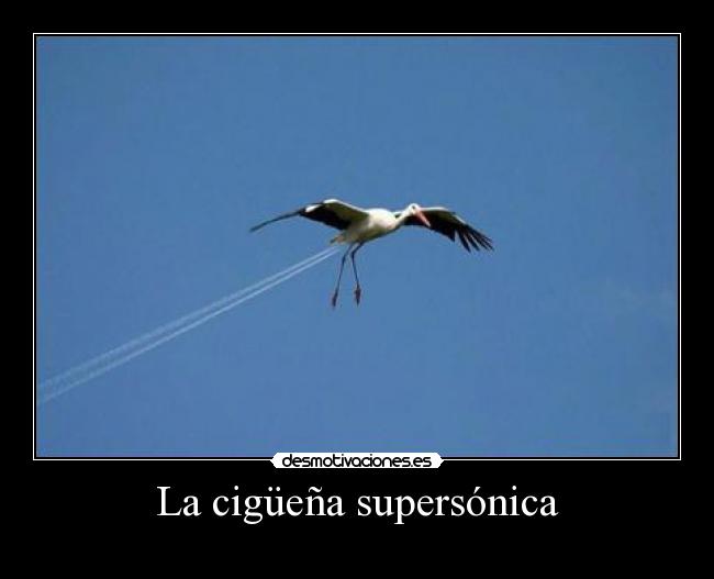La cigüeña supersónica -