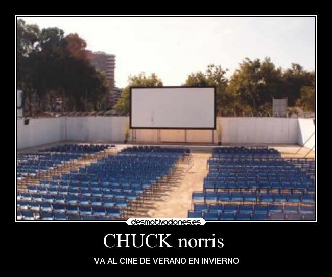 CHUCK norris -