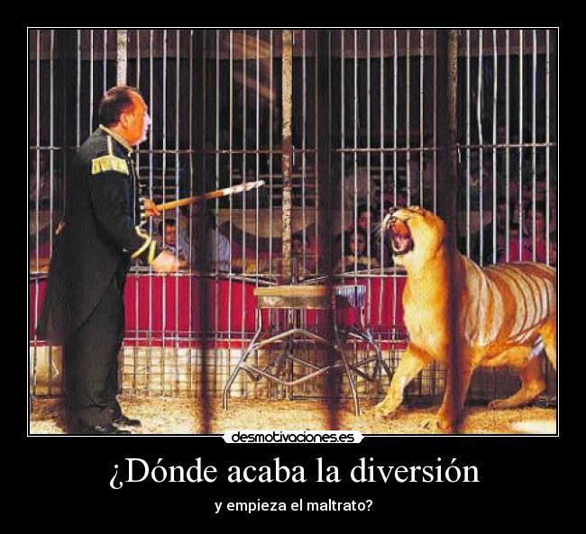 ¿Dónde acaba la diversión - 
