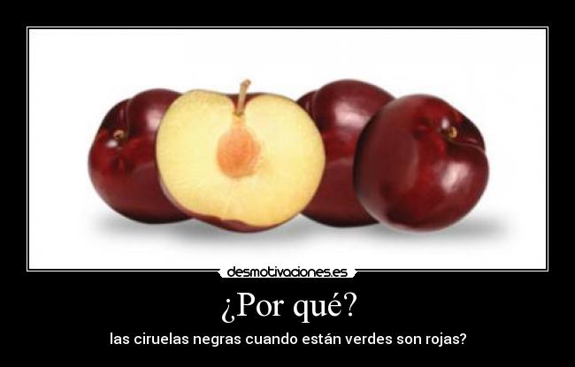 ¿Por qué? - las ciruelas negras cuando están verdes son rojas?