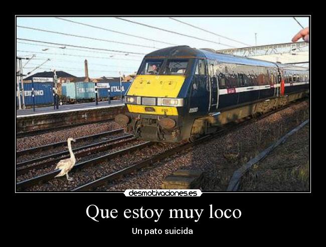 Que estoy muy loco - 
