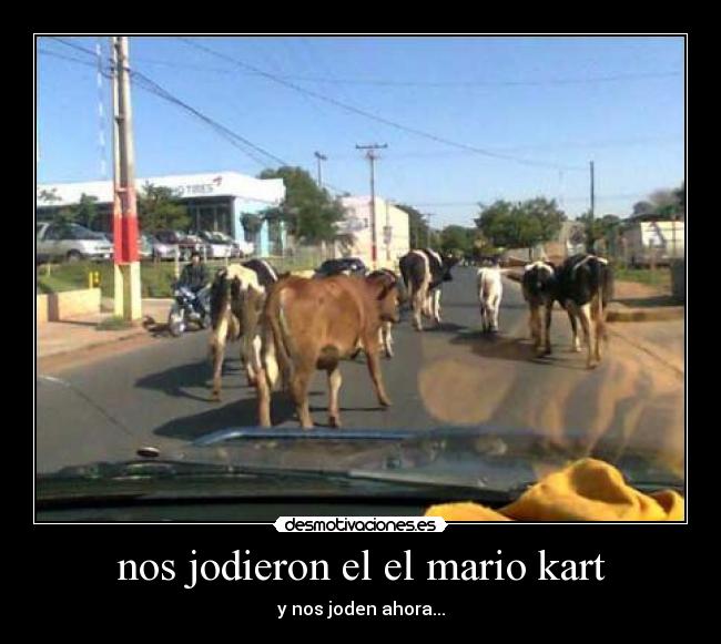 nos jodieron el el mario kart - 