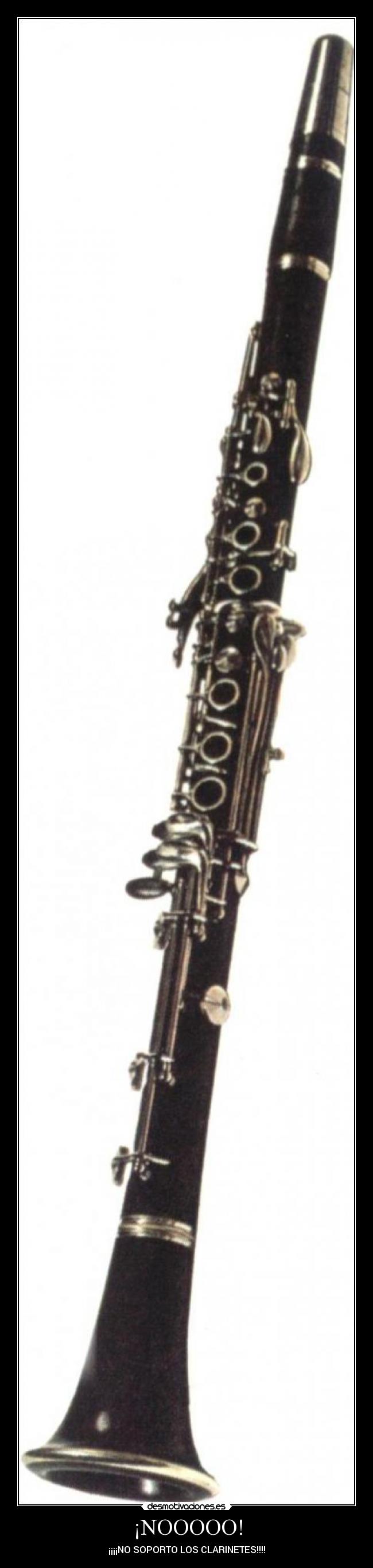 ¡NOOOOO! - ¡¡¡¡NO SOPORTO LOS CLARINETES!!!!