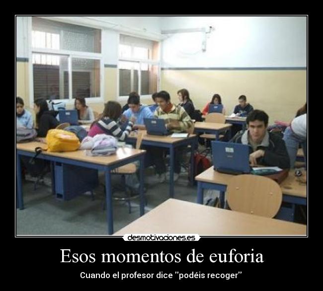 Esos momentos de euforia - 