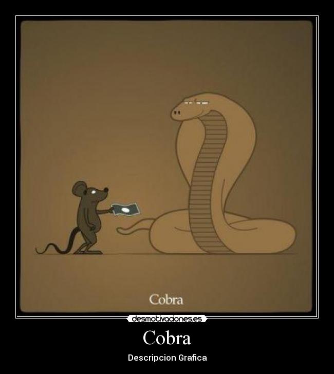 Cobra - 