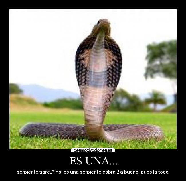 ES UNA... -
