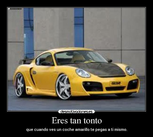 Eres tan tonto - 