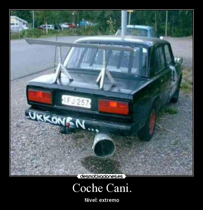 Coche Cani. - Nivel: extremo