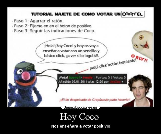 Hoy Coco  - 