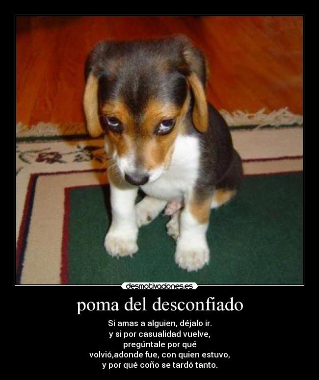 poma del desconfiado - Si amas a alguien, déjalo ir.
y si por casualidad vuelve,
pregúntale por qué
volvió,adonde fue, con quien estuvo,
y por qué coño se tardó tanto.