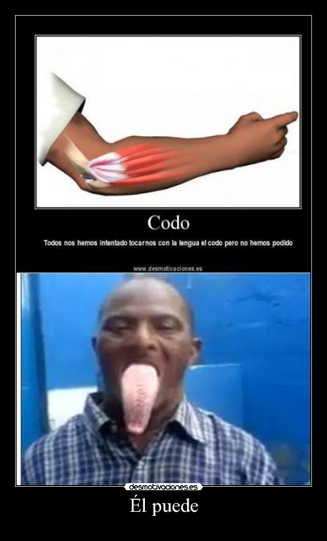 carteles feo lengu codo calvo feo desmotivaciones