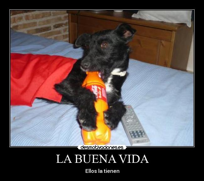 LA BUENA VIDA - Ellos la tienen