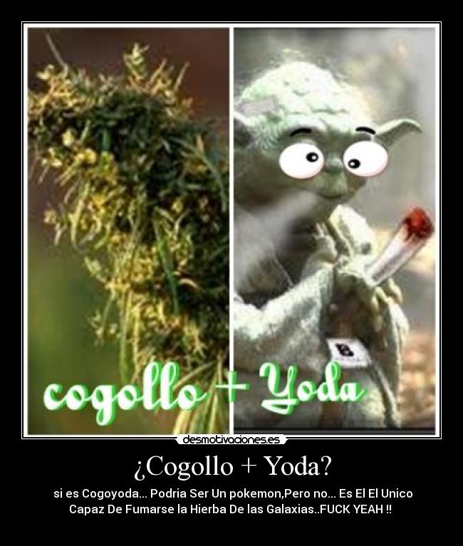 ¿Cogollo + Yoda? - 