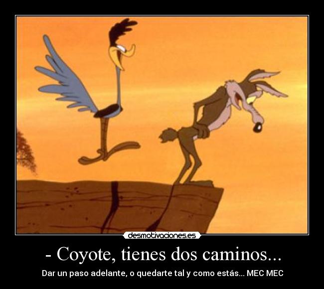 carteles coyote correcaminos dibujitos looney tones tunes bugs bunny payo animales gay sexo amor paso desmotivaciones
