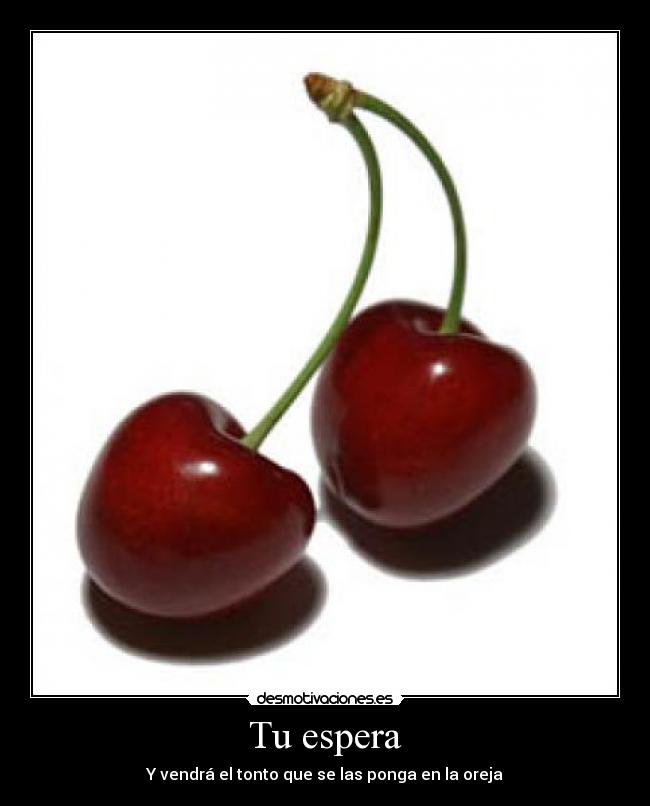 Tu espera - Y vendrá el tonto que se las ponga en la oreja