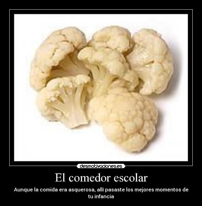 El comedor escolar -