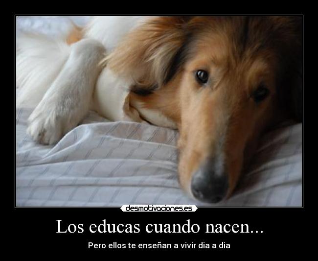 Los educas cuando nacen... -