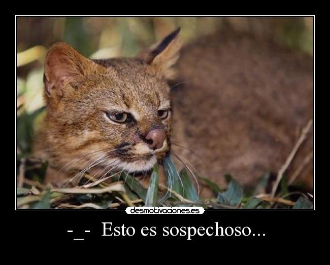 -_- Esto es sospechoso... -