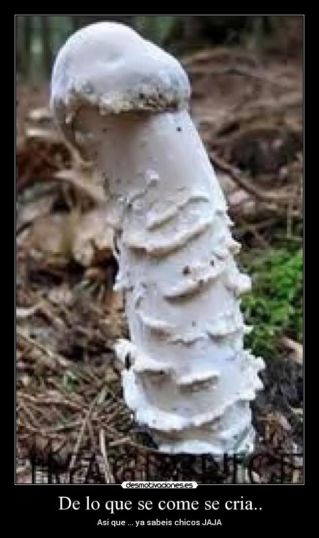 De lo que se come se cria.. - Asi que ... ya sabeis chicos JAJA