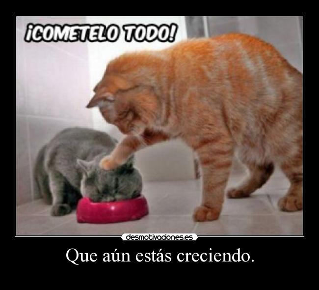 Que aún estás creciendo. - 