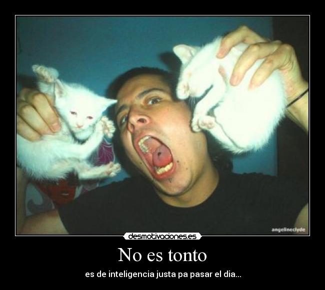 No es tonto - es de inteligencia justa pa pasar el dia...