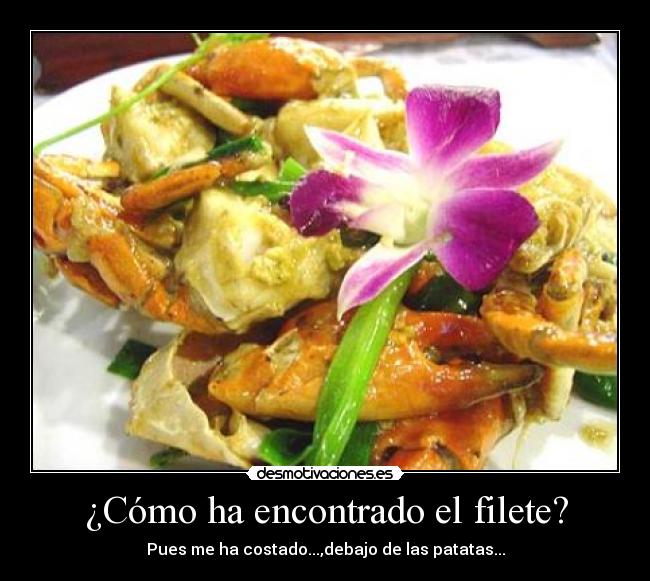 carteles comida desmotivaciones