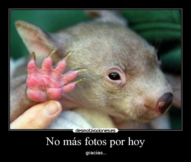 No más fotos por hoy - gracias...