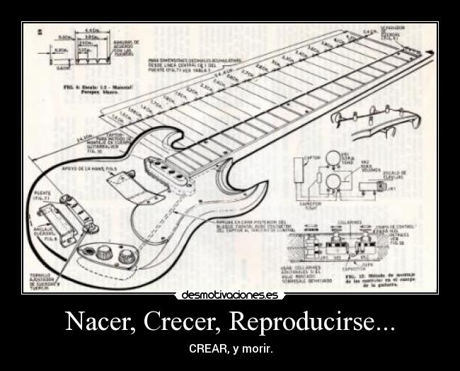 Nacer, Crecer, Reproducirse... - CREAR, y morir.