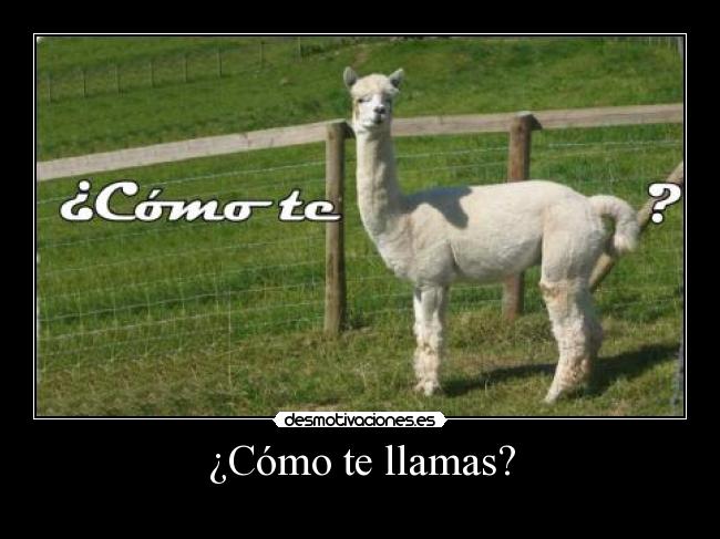 ¿Cómo te llamas? - 