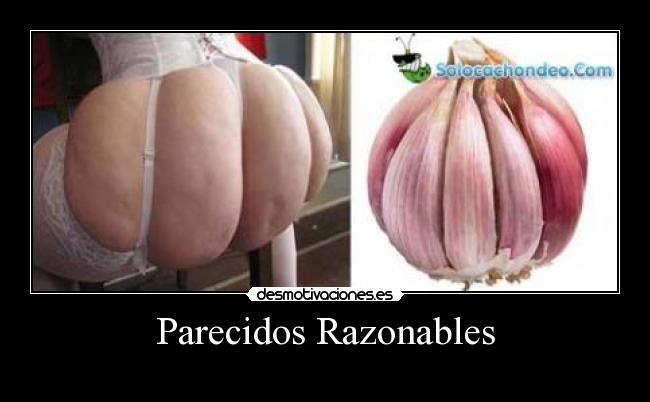 Parecidos Razonables - 