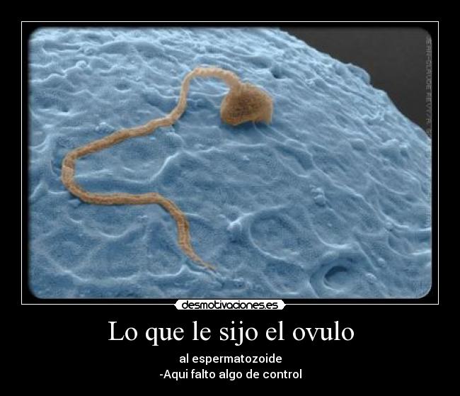 carteles desmotivaciones