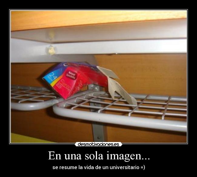 En una sola imagen... -