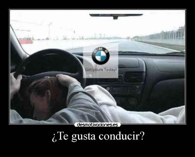 ¿Te gusta conducir? - 